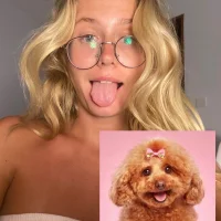 JunieMoonies profilbillede