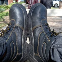 Max_Gun's Profile Pic