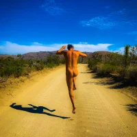 klightwing's Avatar Pic