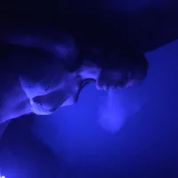 ketandloliのプロフィール写真