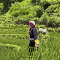 banlinh004 头像图片