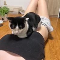 EMI_KA_'s Profile Pic