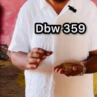 Shyama61622