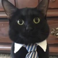 LoveRodrigez 아바타 사진