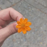 alexander_munich Profilový obrázek