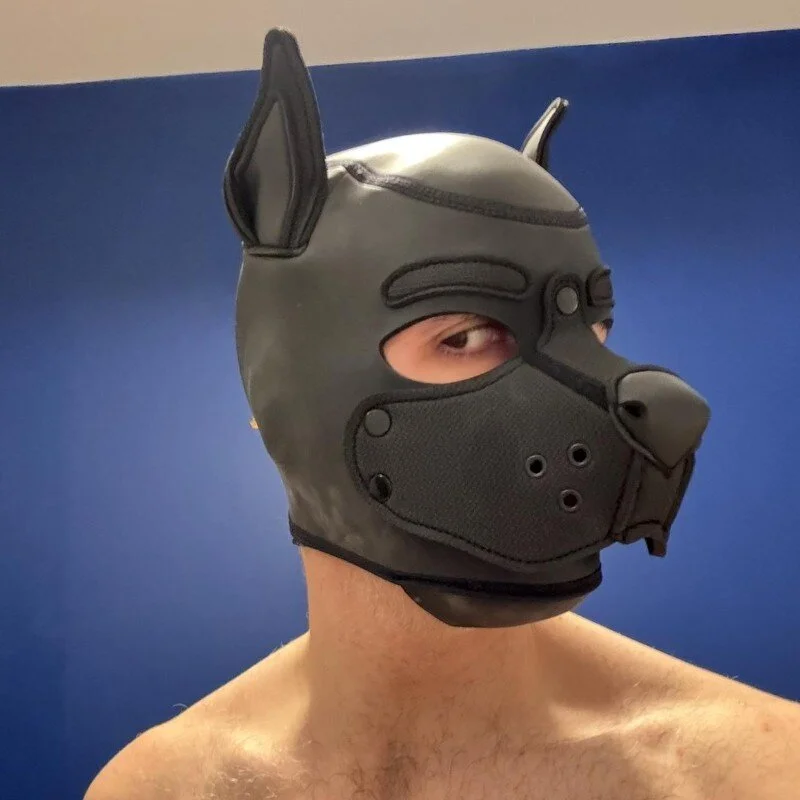 FrenchCamDog profile photo