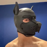 FrenchCamDog avatarképe