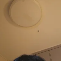 _Ileina_
