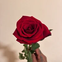 Foto del avatar de secrets-casal