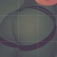 Tipmeisterr