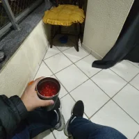 Gorilaroxo2's Profile Pic