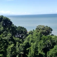 Klyan_Jr-8: εικόνα άβαταρ