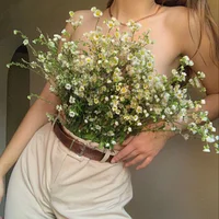 rita_boom's Profile Pic