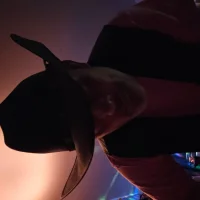 Wild_Wes's Profile Pic
