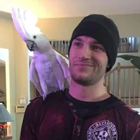 StarF0x's Avatar Pic