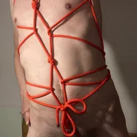 תמונת פרופיל של DippingSpider