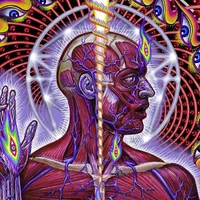 ArtNudeFann Avatar kuva