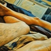 bigcockwetpussymn's Avatar Pic