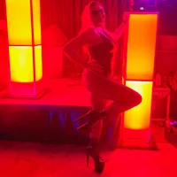 Gambar Profil Butterfly_-_