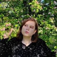 SandraLaneeのプロフィール写真