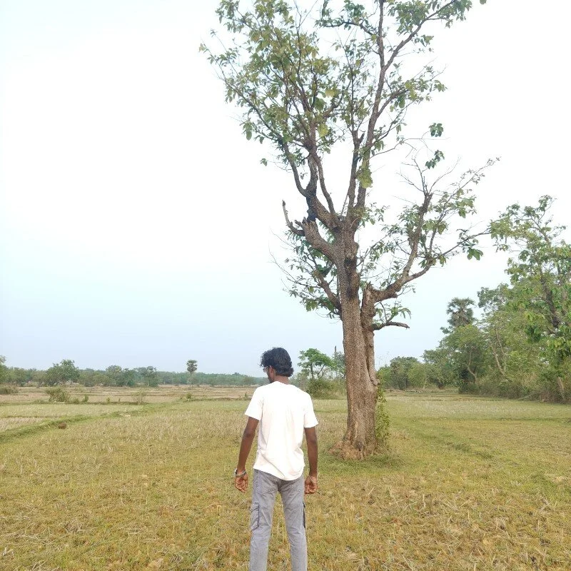 raazbazz profile photo