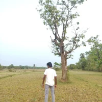 raazbazz