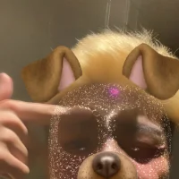 xx___gomi's Profile Pic