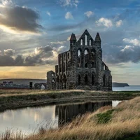 RESTLESSCOCK1 Avatarfoto