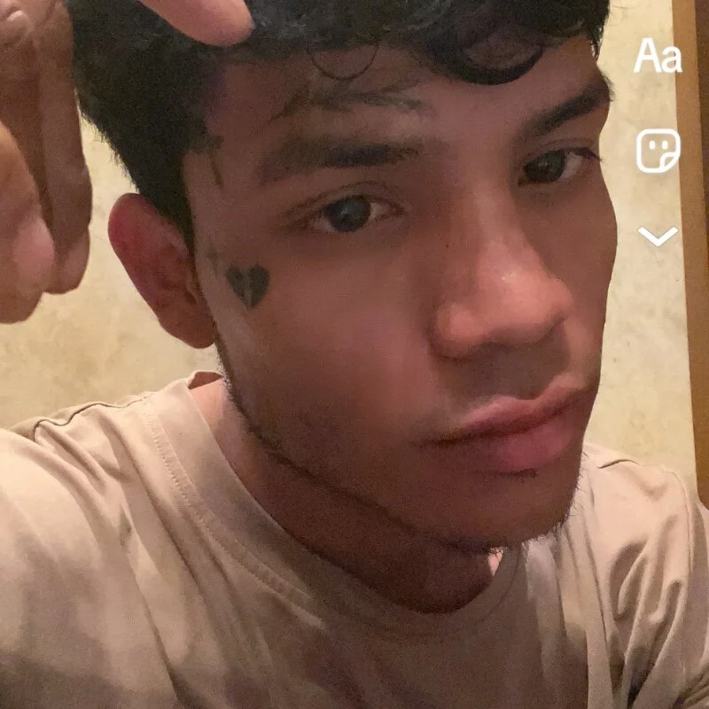 SternalCatchall profile photo