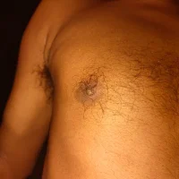 desi_bull555