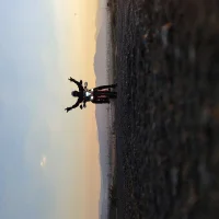 Angel6318's Profile Pic