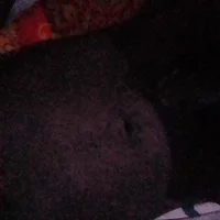 Madmax_ke webcam