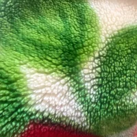 nooorwepas' Avatar Pic