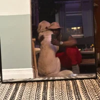 BodiedByMoose – avatarbillede