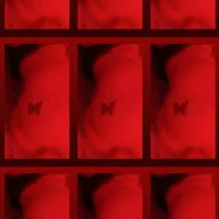 morocha31's Profilna slika