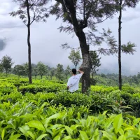Josun_Ivhar webcam