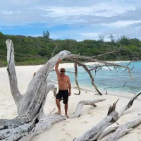 Bibop974s profilbillede