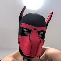 DogSonX's profilbilde