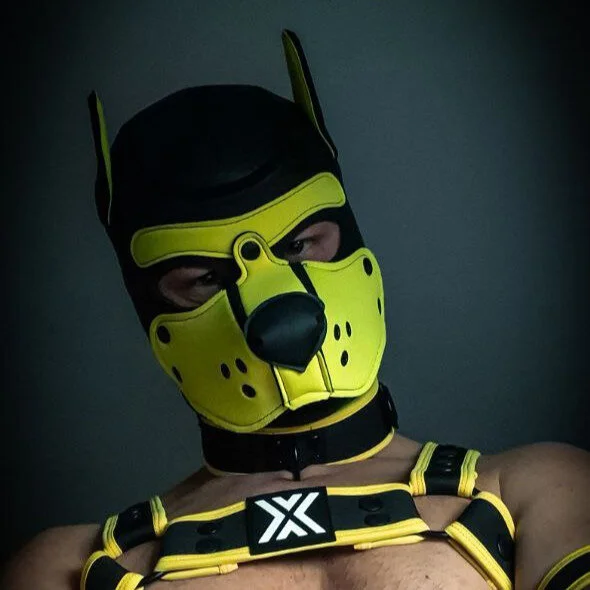 WildyLynx profile photo