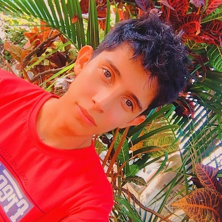 gomitaboy1 profile photo