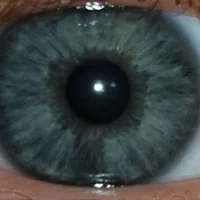 ThatShyGuyのプロフィール写真