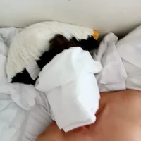 smallieek's Profile Pic