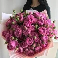 รูปโปรไฟล์ของ _Spring___