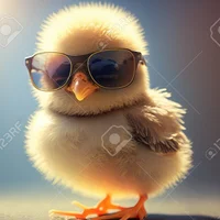 pollito1985 头像图片