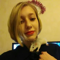 toriday's Profile Pic