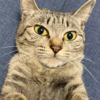 Ảnh Đại Diện sbr3558