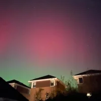 Rafael--2002 Avatarfoto