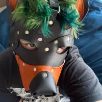swampupppy's Profile Pic