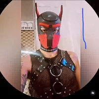 Barbudobi's Profile Pic