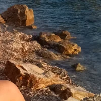 Monica8383